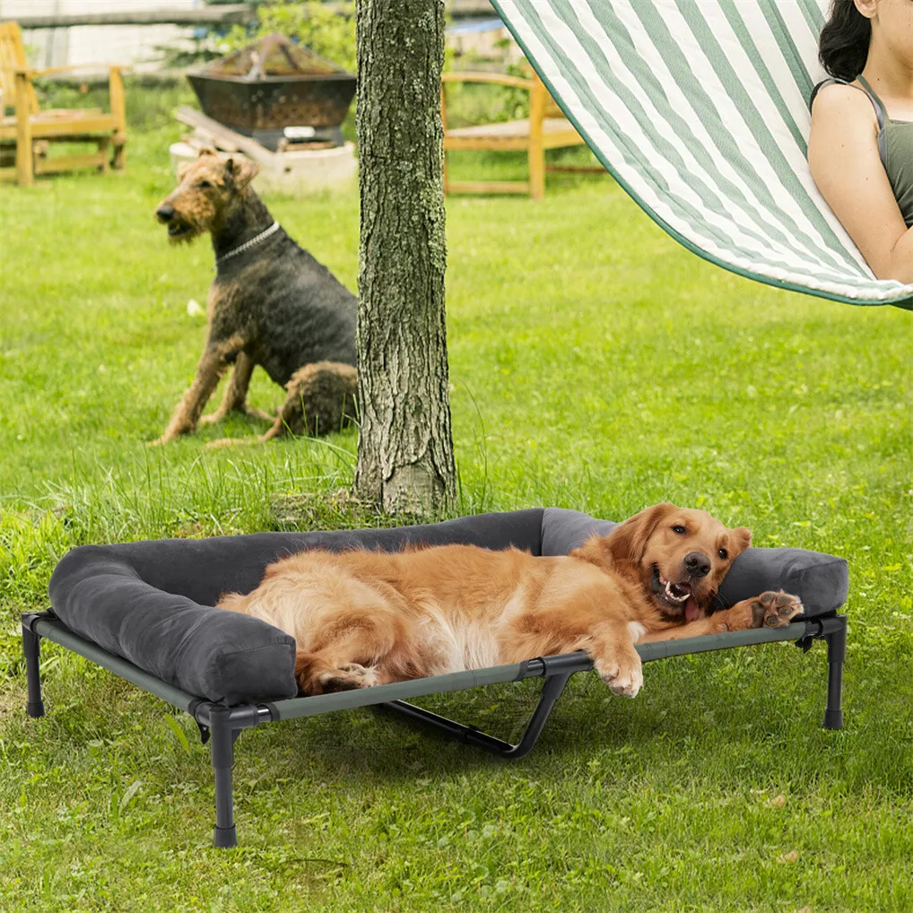 Tempat Tidur Anjing Luar Ruang - Bed Outdoor Camping ulasan dan harga