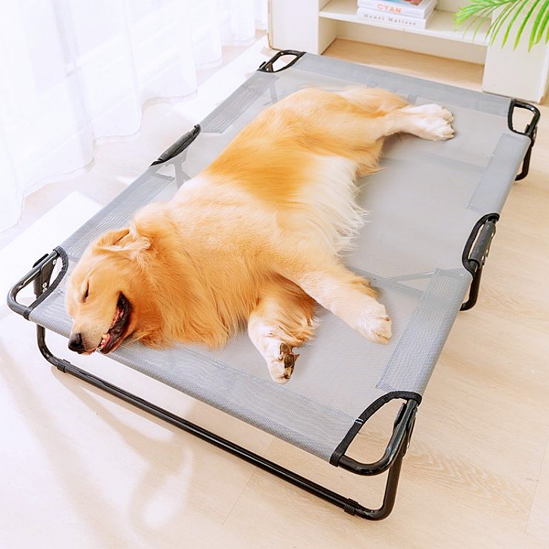 Tempat Tidur Anjing Lipat, Ala - Outdoor Camping Mats Large ulasan dan harga
